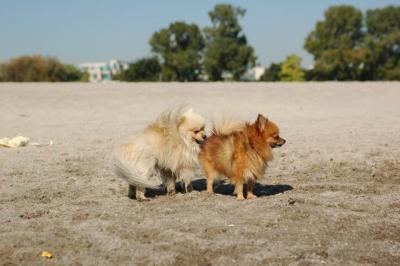 Oct7a_04_067.JPG