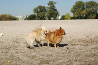 Oct7a_04_069.JPG