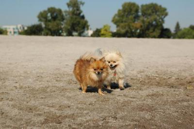 Oct7a_04_074.JPG