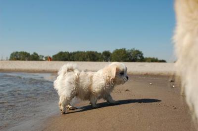 Oct7a_04_087.JPG