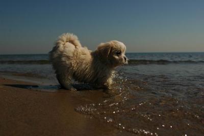 Oct7a_04_103.JPG