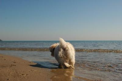 Oct7a_04_106.JPG