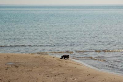 Oct7a_04_112.JPG