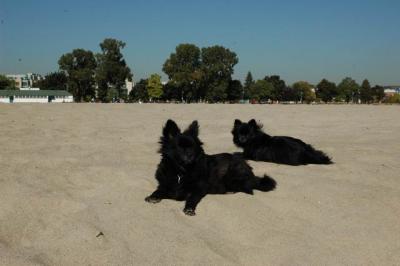 Oct7a_04_138.JPG