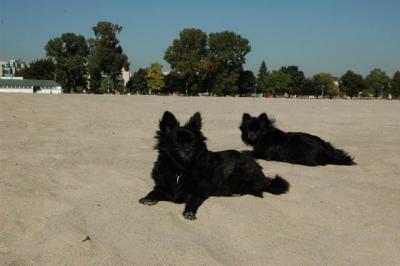 Oct7a_04_139.JPG