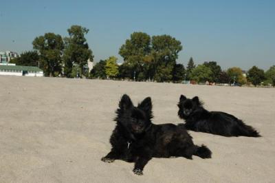 Oct7a_04_150.JPG