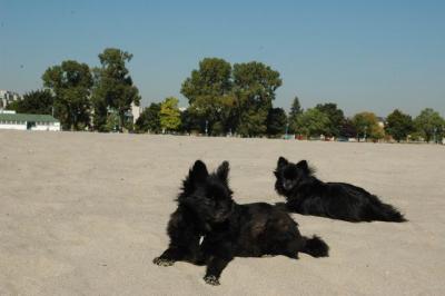 Oct7a_04_152.JPG