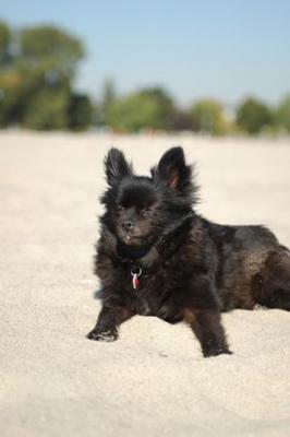 Oct7a_04_202.JPG