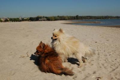 Oct7a_04_265.JPG