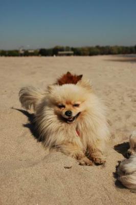 Oct7a_04_288.JPG