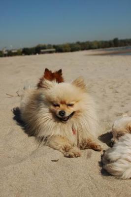 Oct7a_04_290.JPG