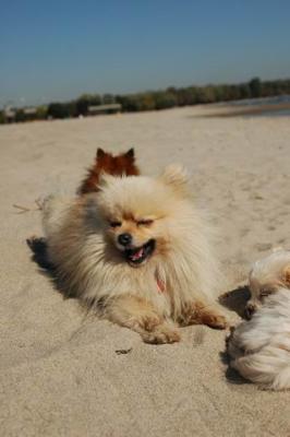 Oct7a_04_291.JPG
