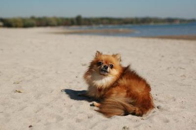 Oct7a_04_306.JPG