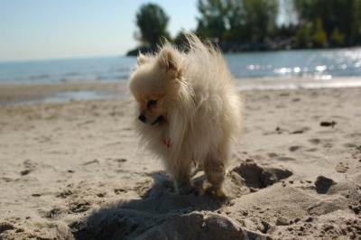 Oct7a_04_330.JPG