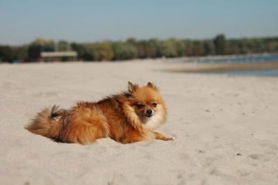 Oct7a_04_362.JPG