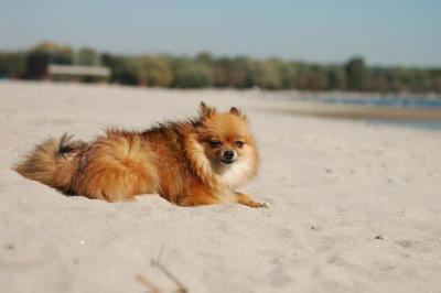 Oct7a_04_366.JPG