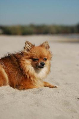 Oct7a_04_370.JPG