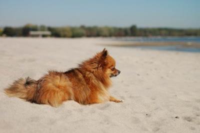 Oct7a_04_375.JPG