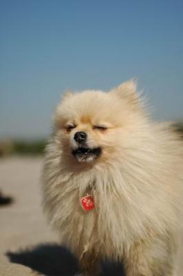 Oct7a_04_398.JPG