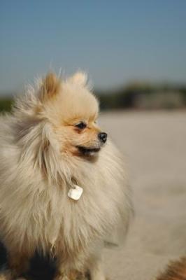 Oct7a_04_402.JPG