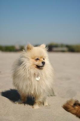Oct7a_04_406.JPG