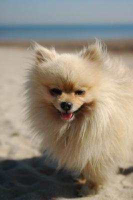 Oct7a_04_409.JPG