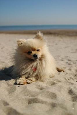 Oct7a_04_418.JPG