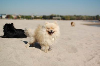 Oct7a_04_426.JPG