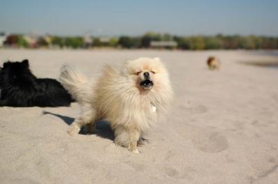 Oct7a_04_427.JPG