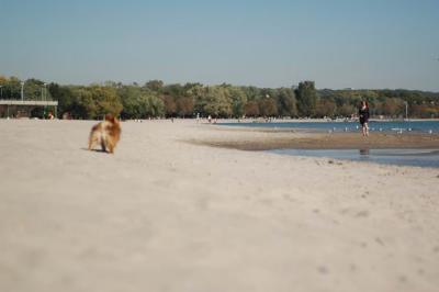 Oct7a_04_428.JPG