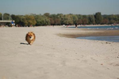 Oct7a_04_435.JPG