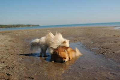 Oct7a_04_464.JPG
