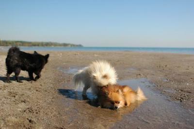 Oct7a_04_467.JPG