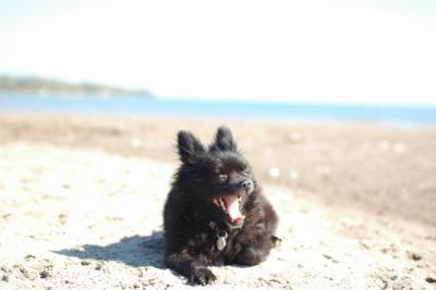 Oct7a_04_471.JPG