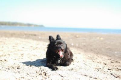 Oct7a_04_472.JPG