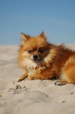 Oct7a_04_516.JPG