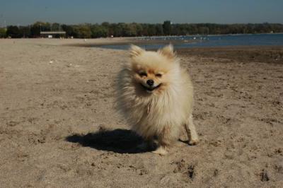 Oct7a_04_527.JPG