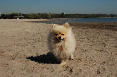 Oct7a_04_528.JPG