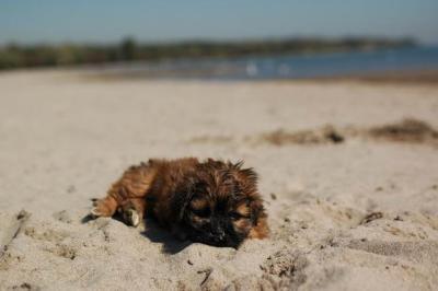 Oct7a_04_540.JPG