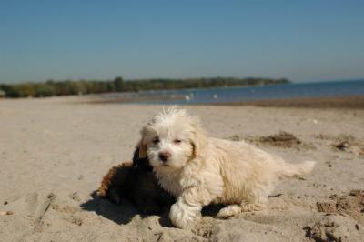 Oct7a_04_547.JPG