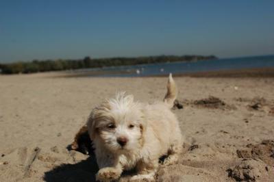 Oct7a_04_548.JPG