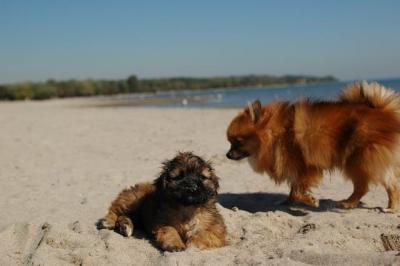 Oct7a_04_552.JPG