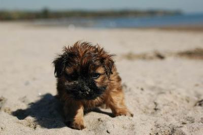 Oct7a_04_558.JPG