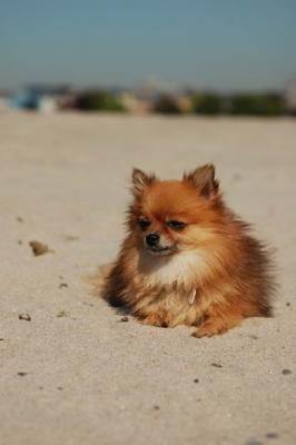 Oct7a_04_561.JPG