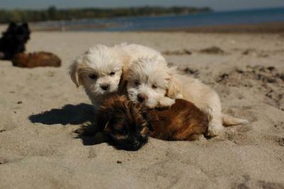 Oct7a_04_589.JPG