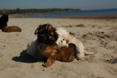 Oct7a_04_594.JPG