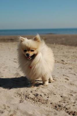 Oct7a_04_602.JPG