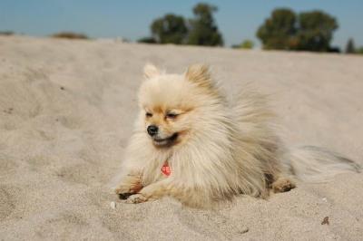 Oct7a_04_608.JPG