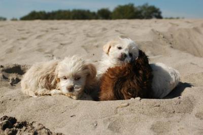 Oct7a_04_611.JPG