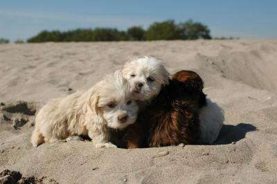 Oct7a_04_612.JPG